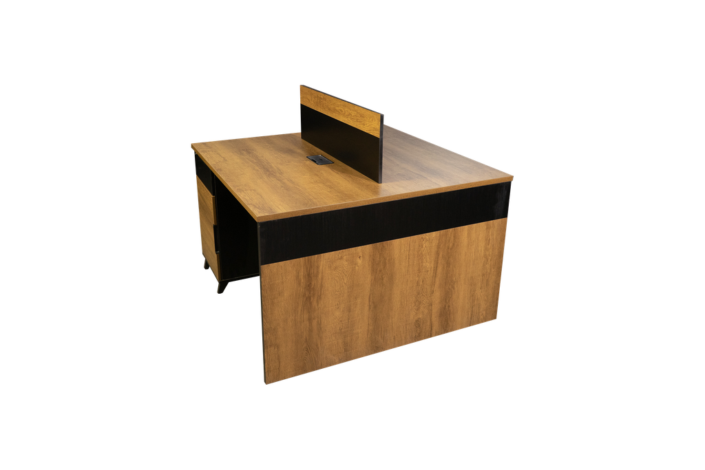 Estacion  de trabajo para 2 personas  con cajonera con llave.