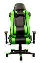 Silla Gamer color negro con verde con brazos de altura ajustable AJN Furniture™ 